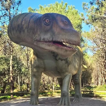 Tininha Da Ilha - Escape Peniche