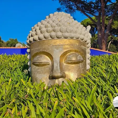 Tininha Da Ilha - Escape * Peniche