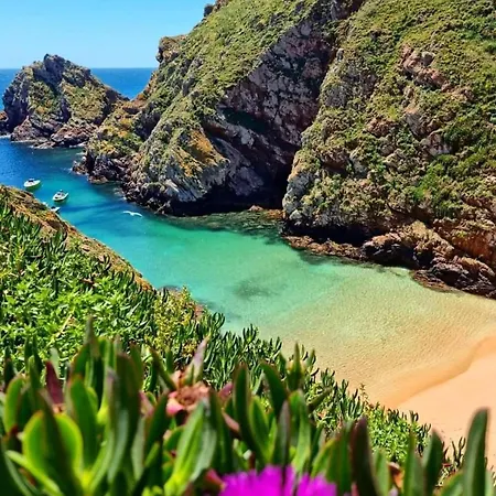 Tininha Da Ilha - Escape Apartment