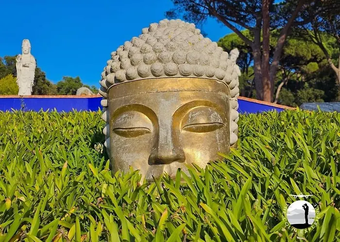 Tininha Da Ilha - Escape * Peniche