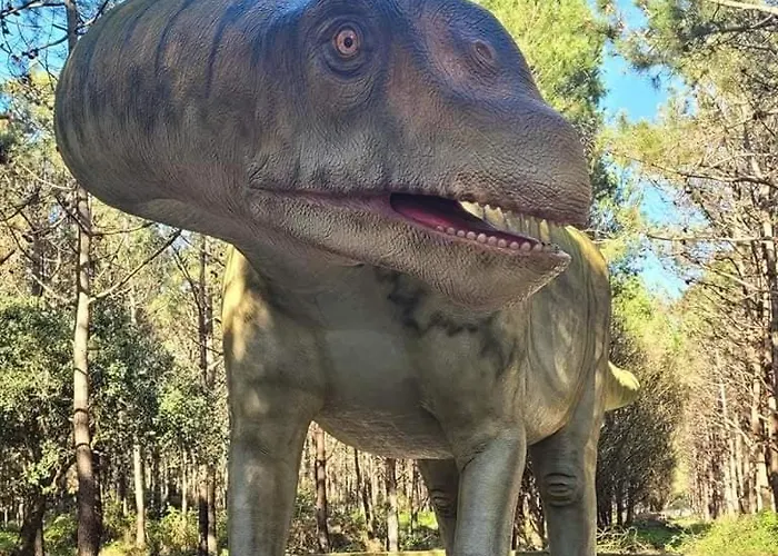 Tininha Da Ilha - Escape Peniche