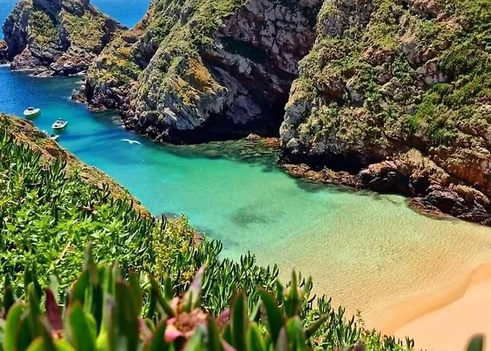 Tininha Da Ilha - Escape Appartamento